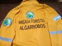 Camisa forestal